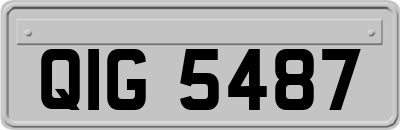 QIG5487
