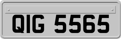 QIG5565