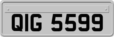 QIG5599