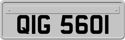 QIG5601