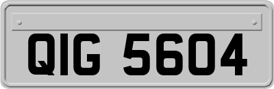 QIG5604