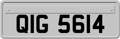 QIG5614