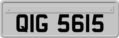 QIG5615