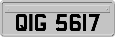 QIG5617