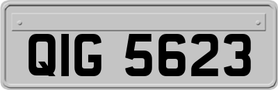 QIG5623