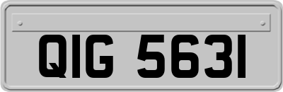QIG5631
