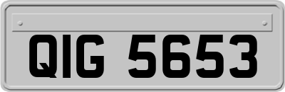 QIG5653