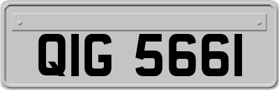 QIG5661