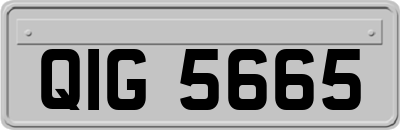 QIG5665
