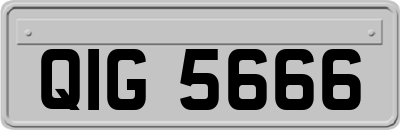 QIG5666