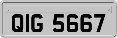 QIG5667