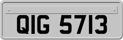 QIG5713