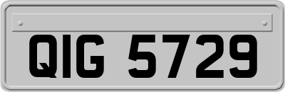 QIG5729