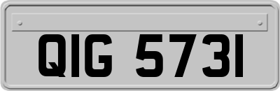 QIG5731