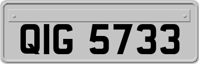 QIG5733