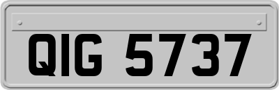 QIG5737