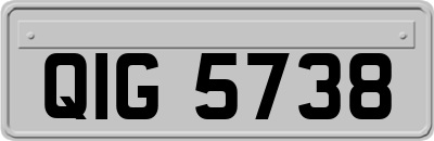 QIG5738
