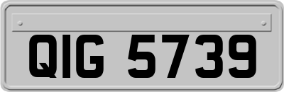 QIG5739