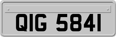 QIG5841