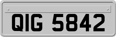 QIG5842