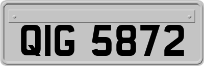 QIG5872
