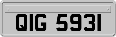 QIG5931