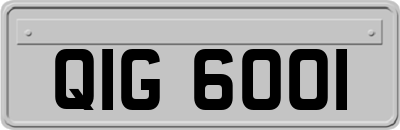 QIG6001