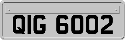 QIG6002