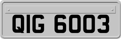 QIG6003