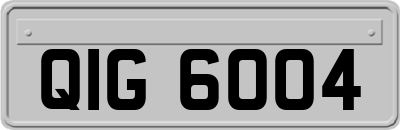 QIG6004