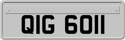 QIG6011