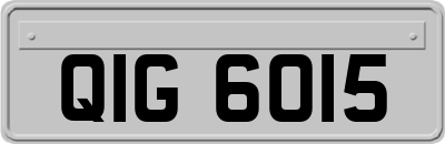 QIG6015
