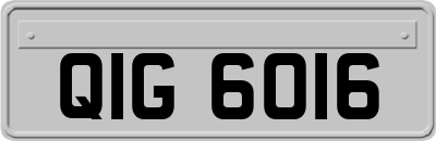 QIG6016