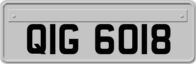 QIG6018