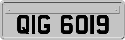 QIG6019