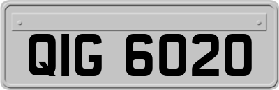 QIG6020
