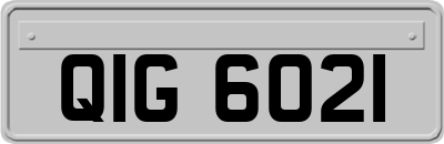 QIG6021