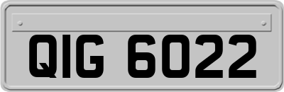 QIG6022