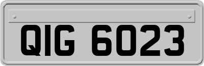 QIG6023