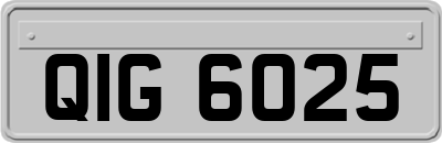 QIG6025