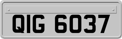 QIG6037