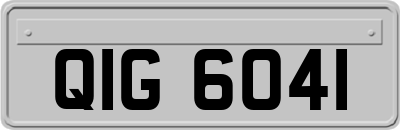 QIG6041