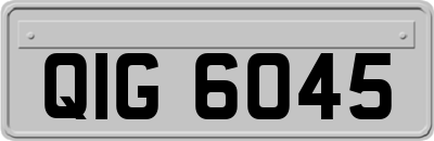 QIG6045