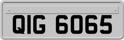 QIG6065