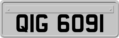 QIG6091
