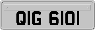 QIG6101