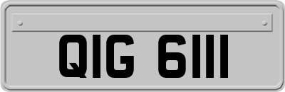 QIG6111