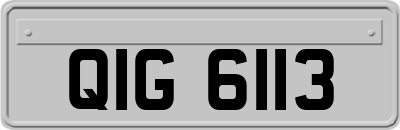 QIG6113