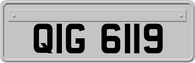 QIG6119