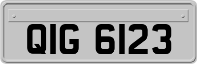 QIG6123